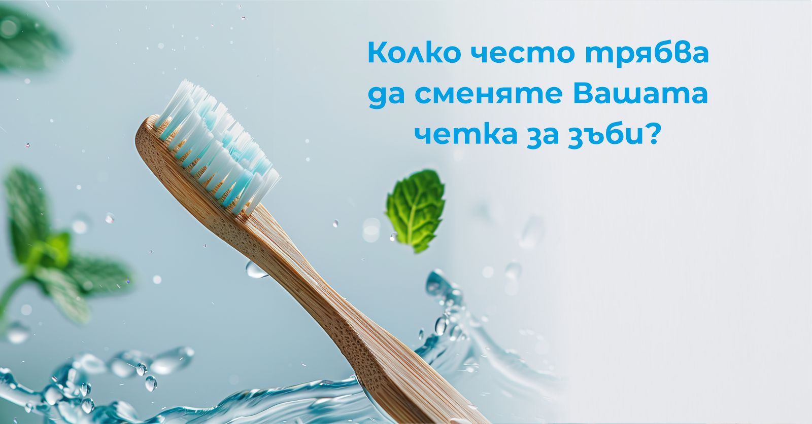 Колко често трябва да се сменя четката за зъби - Дентална Клиника identity - гр. Варна